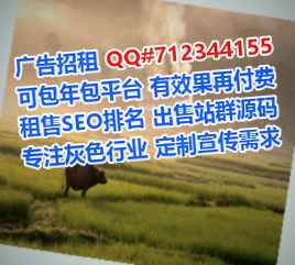 南溪助孕电子科技工作室